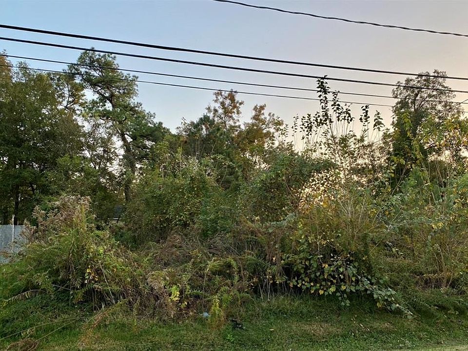 2nd image of 303 Arcadian Dr