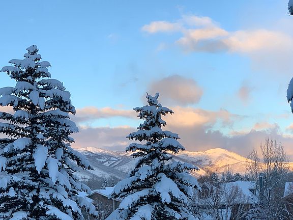 Winter view