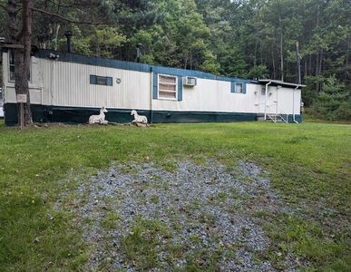 1003 Briscoe Road, Swan Lake, NY, 12783