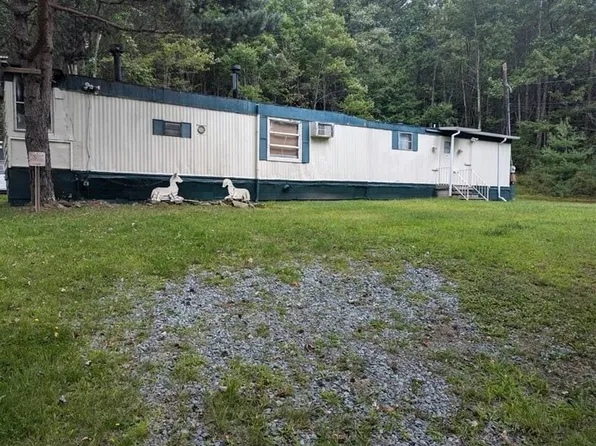 1003 Briscoe Road, Swan Lake, NY 12783