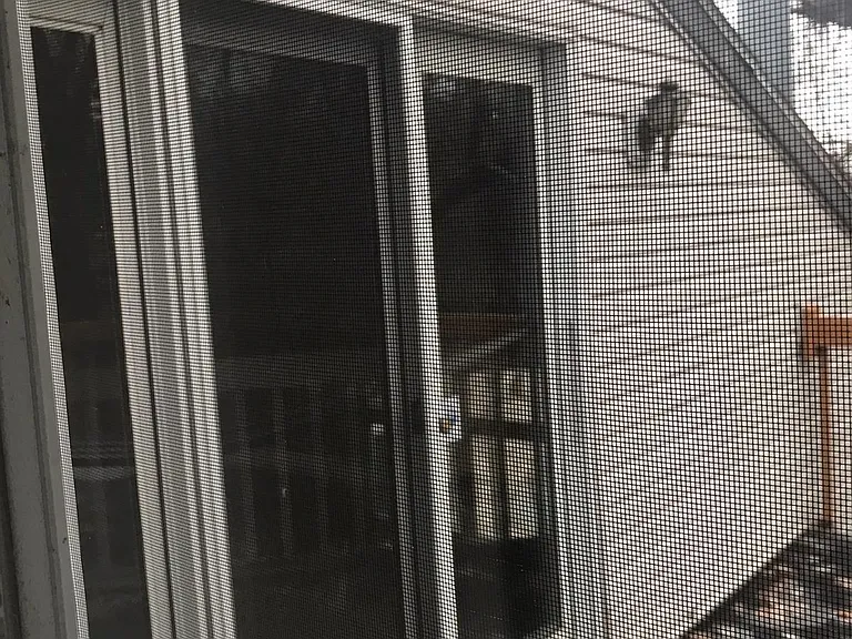 2763 Monte Vis — Photo 104