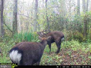 0 Calloway Wharf Rd, Rhodesdale, MD 21659