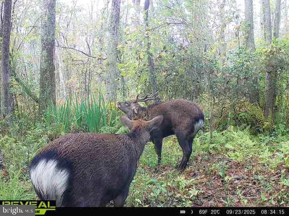 0 Calloway Wharf Rd, Rhodesdale, MD 21659