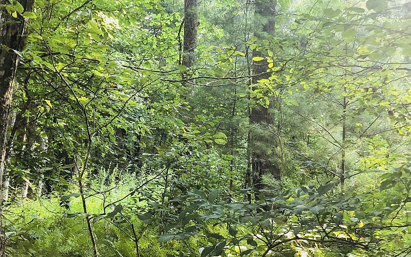 99/98 High River Country, Hiawassee, GA 30546 MLS 326949 Zillow