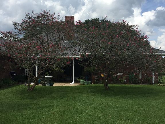 Back of House on Lake