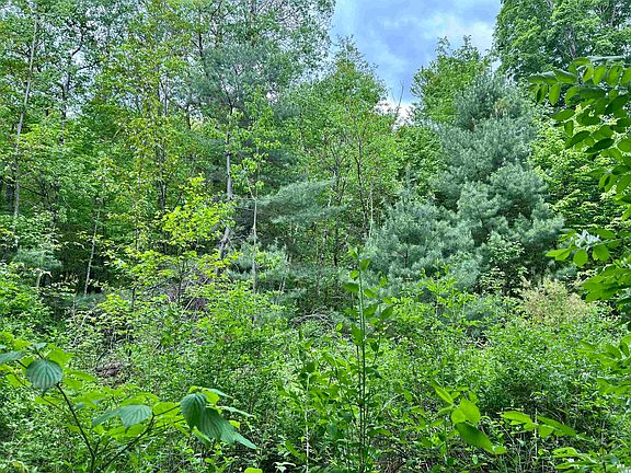 5th image of Lot 48 Sugar Hill Road