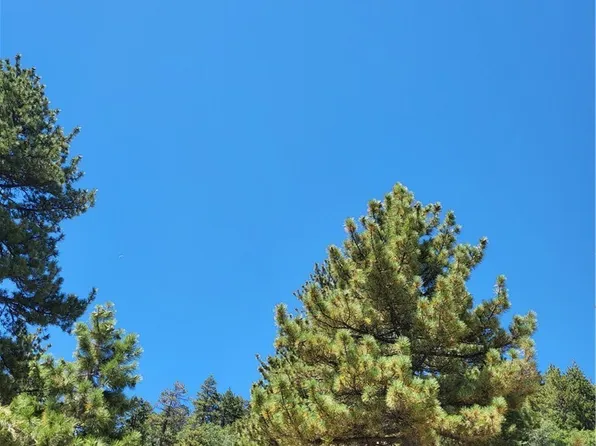 0 N Shore Dr, Big Bear Lake, CA 92315