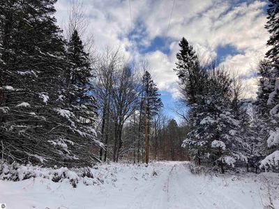 Vl W Woodland Dr LOT 42, Cadillac, MI, 49601
