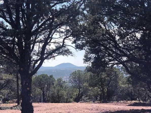 LOT 20 Mountain Pine Rd, Vernon, AZ 85940