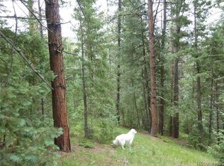 33855 Columbine Cir, Evergreen, CO 80439