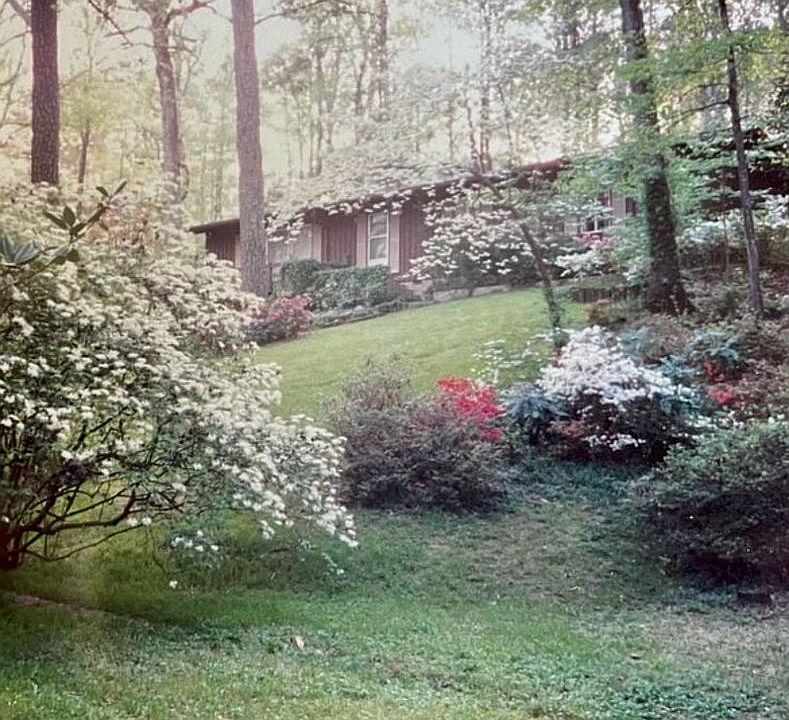 Home in the Spring