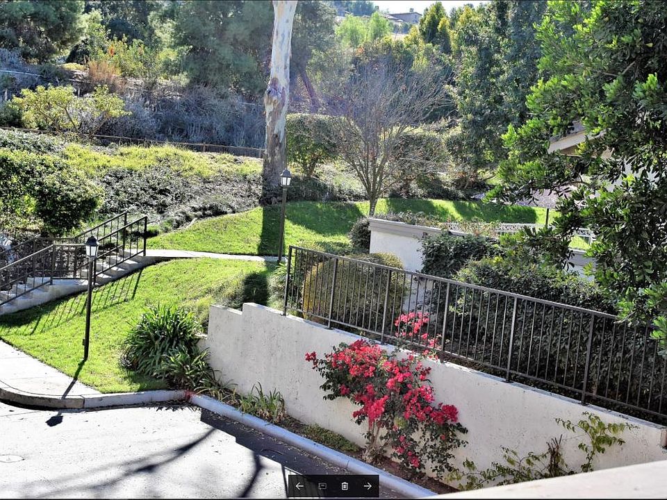 View from Patio