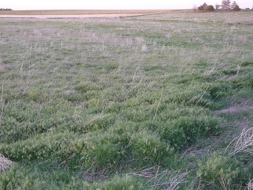 1st image of East CR 6