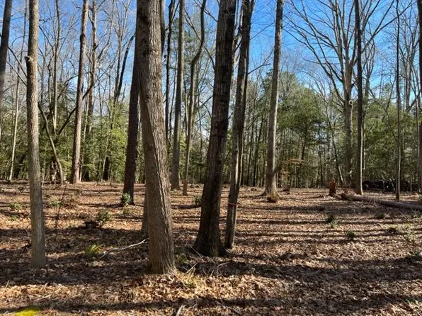 4 Oakwood Ave, Bracey, VA 23919