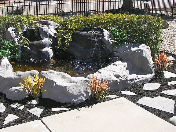 Relaxing Pond in Backyard