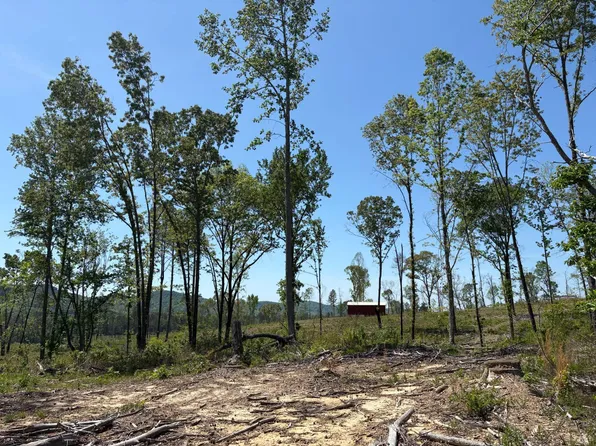 205 County Road 794, Gaylesville, AL 35973