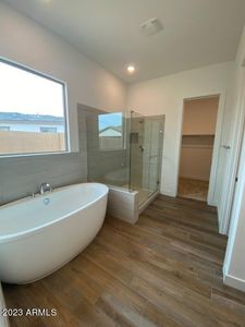 2868 E Saddlebrook Ct, Queen Creek, AZ, 85142