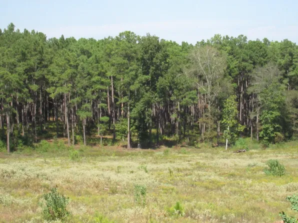 24 Fm 256 N, Woodville, TX 75979