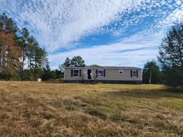 9154 Crooked Run Rd, Adrian, GA 31002