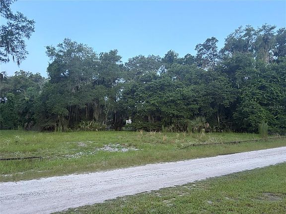 3rd image of 161 LITTLE ORANGE LAKE DRIVE LOT 8