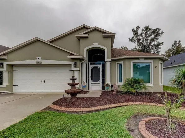 25432 Bruford Blvd, Land O Lakes, FL 34639