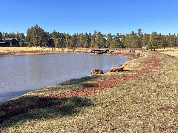 7 N County Road 1332 St #46, Greer, AZ 85927