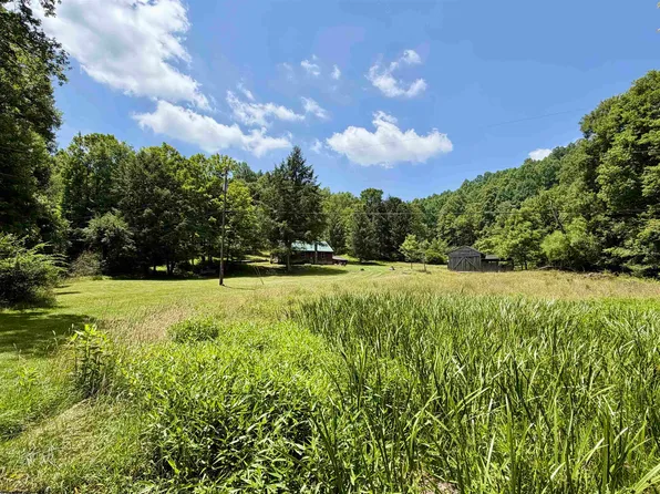 0 Canaan Rd, Rock Cave, WV 26234