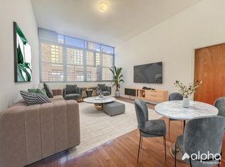 203 Rivington St APT 5C, New York, NY 10002