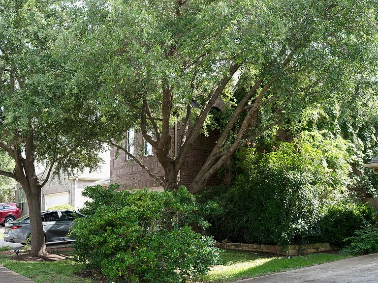 Gorgeous greenery makes it feel like a storybook house.