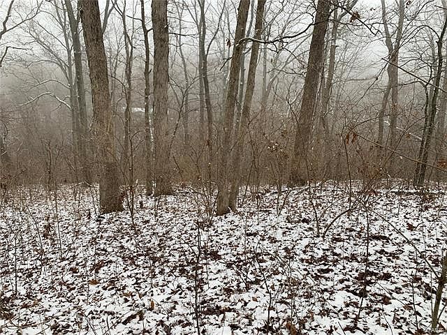 2nd image of 137 Crest Dr