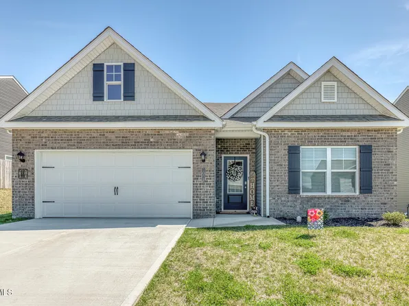 1028 Tara Ct, Blountville, TN 37617