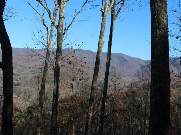 2 Gabriel Rdg, Hayesville, NC 28904