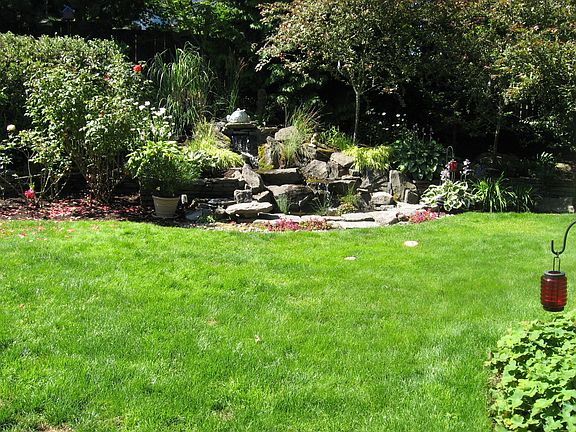 Backyard SW