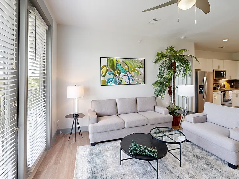 Palo Verde — Photo 112