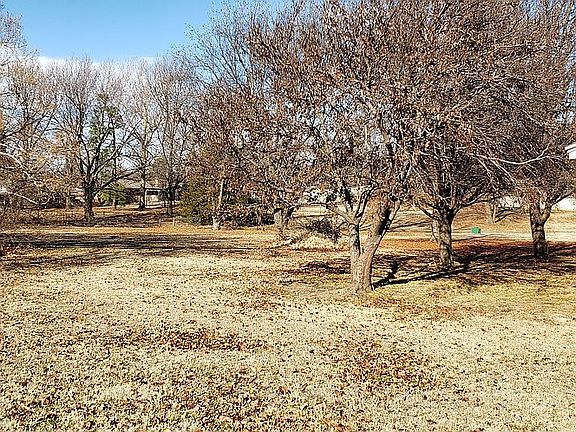 Pecan and pear trees