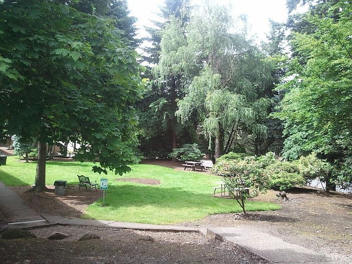 Main Park Area