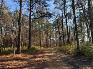 23.30 Acres-TBD Dainty Ave, Kingstree, SC 29556