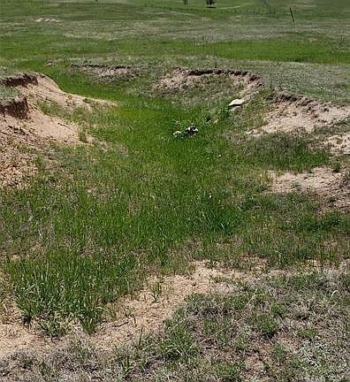 3rd image of 18735 Brown Rd