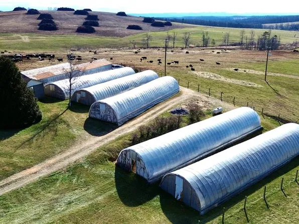 8660 Austin Traphill Rd, Traphill, NC 28685