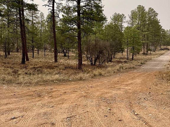 4th image of Timber Dr Lot 16