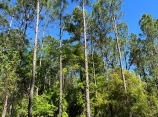 0 Pilgrim Church Rd TRACT 1, Gordon, AL 36343