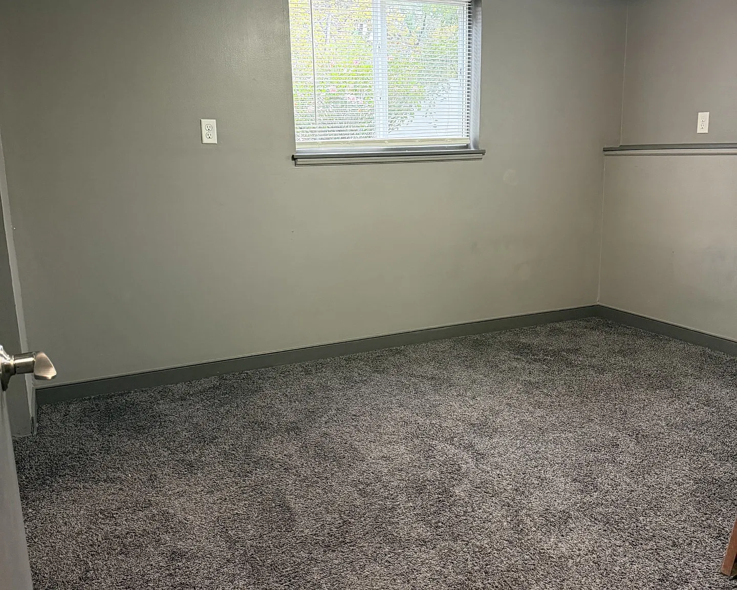 2 bed, 800 sqft, $1,000 — Photo 4