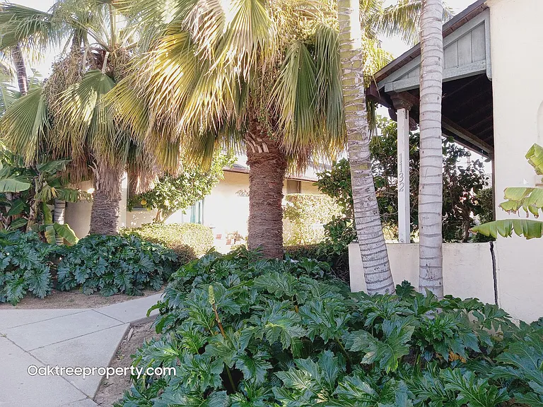1132 Poli St — Photo 2
