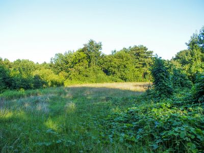 000 Old 125 Road, Halifax, NC, 27839