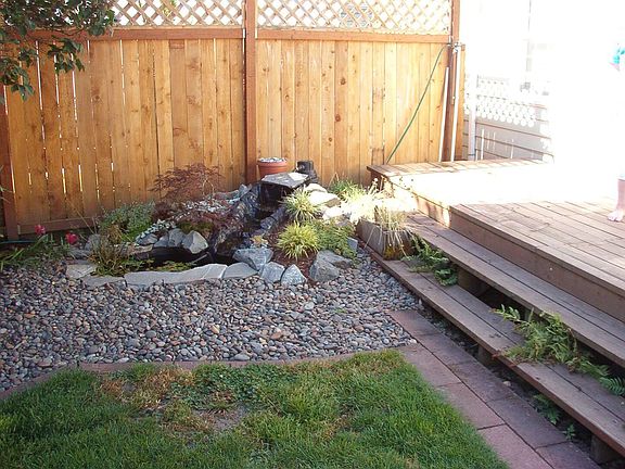 Rear Deck and Fish Pond