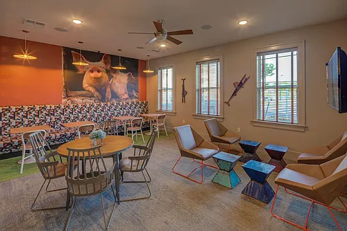 Nest on 17 Apartment Homes Photo 1
