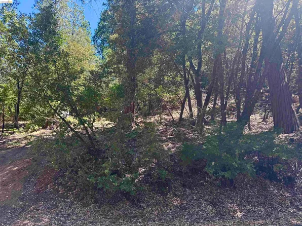 23265 Quail Dr, Twain Harte, CA 95383