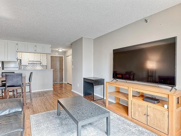 433 S 7th St #1607 — Photo 5