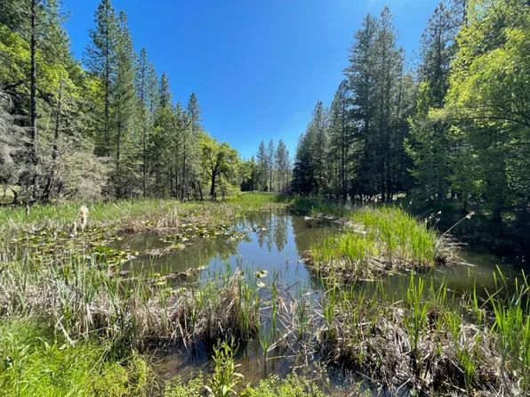2401 Tenmile Creek Road, Laytonville, CA 95454