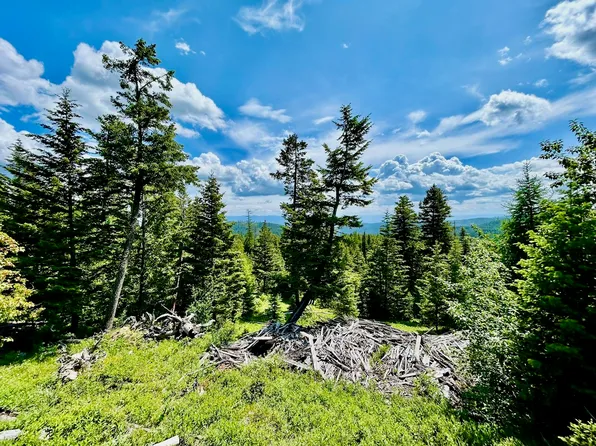 Nhn McMannamy Draw, Kalispell, MT 59901